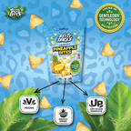 Pineapple Dried Fruit