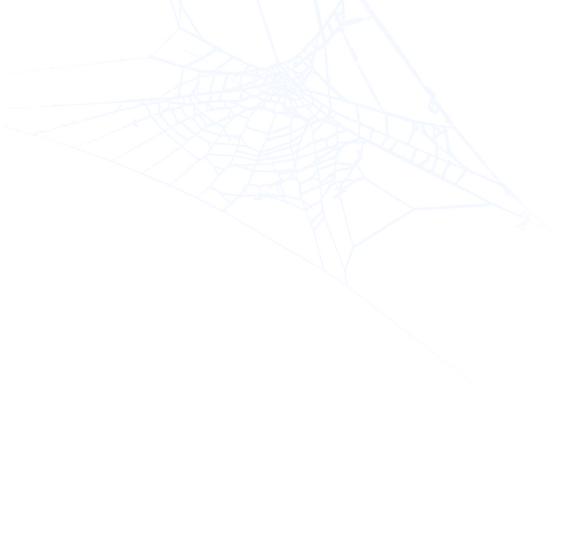 Spider web