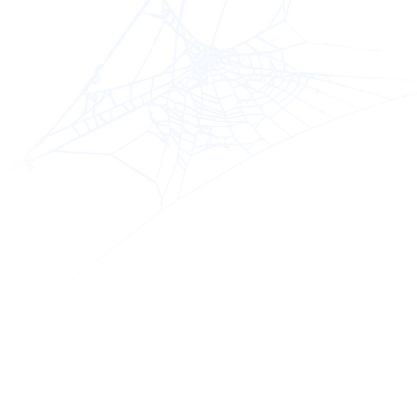 Spider web